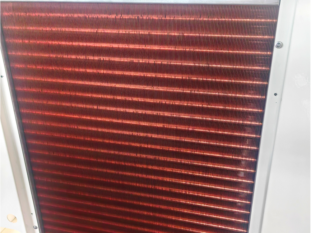 Pinna aeris condenser Pinna aeris condenser