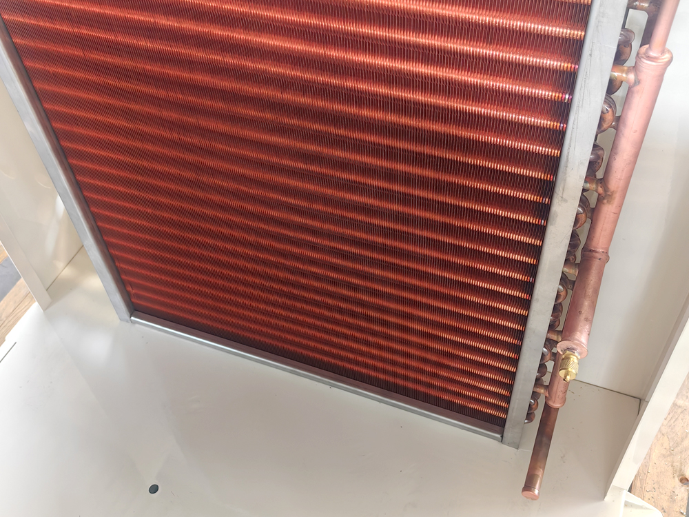 Pinna aeris condenser Pinna aeris condenser