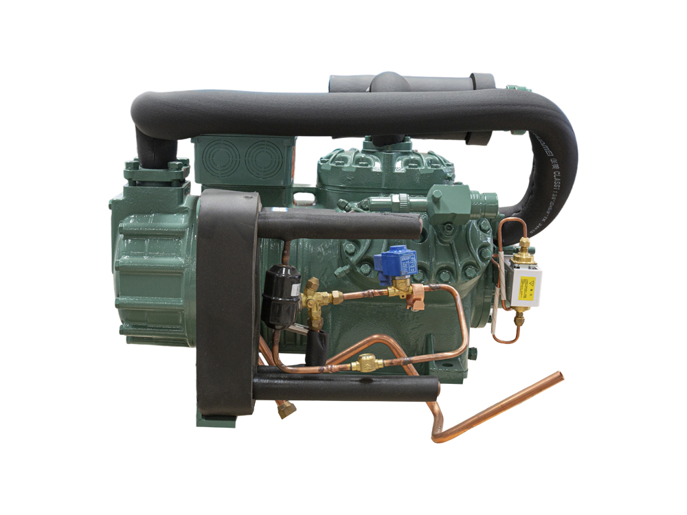 Compressor bipolaris Compressor bipolaris